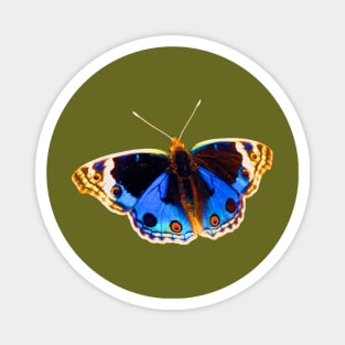 Blue Pansy Butterfly Magnet